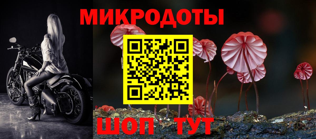 Псилоцибиновые грибы Psilocybine cubensis Рославль
