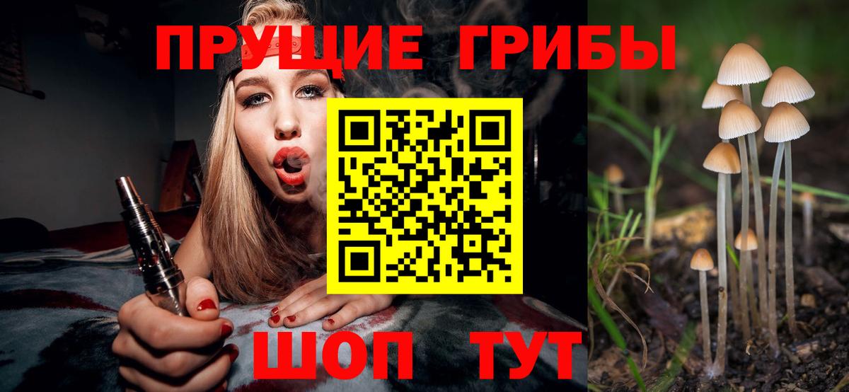 Рославль  купить  цена  Вход с VPN  Псилоцибиновые грибы GOLDEN TEACHER 