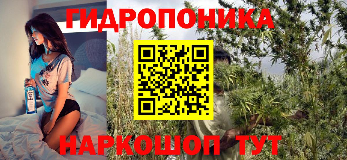 Каннабис MAZAR Рославль